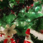 Esha Deol Instagram - Our Christmas tree 🎄 #ourhome #jinglebellrock #christmastree #itsthemostwonderfultimeoftheyear #homesweethome 🎄♥️🧿🎅🏼♥️