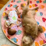 Evelyn Sharma Instagram - Busy day learning to roll over. 🙃 Both are just fooling around and nobody’s listening to mommy! 😅🥰 #besties #avaandcoco #mysweetgirls