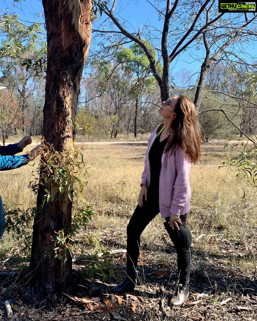 Evelyn Sharma Instagram - There’s so much to learn from the Australian native flora. Especially how it constantly resurrects itself in the hardest conditions. 🔥🌿