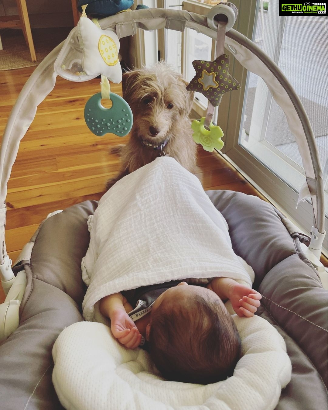 Evelyn Sharma Instagram - π my two angels. πΌπ»πΆ