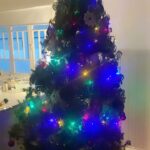 Evelyn Sharma Instagram – Hope y’all are enjoying the holidays! 🎄💖 Thinking how to recycle my Christmas tree… any ideas what we could do with it? 🤓