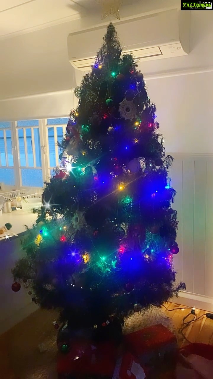 Evelyn Sharma Instagram - Hope y’all are enjoying the holidays! 🎄💖 Thinking how to recycle my Christmas tree… any ideas what we could do with it? 🤓