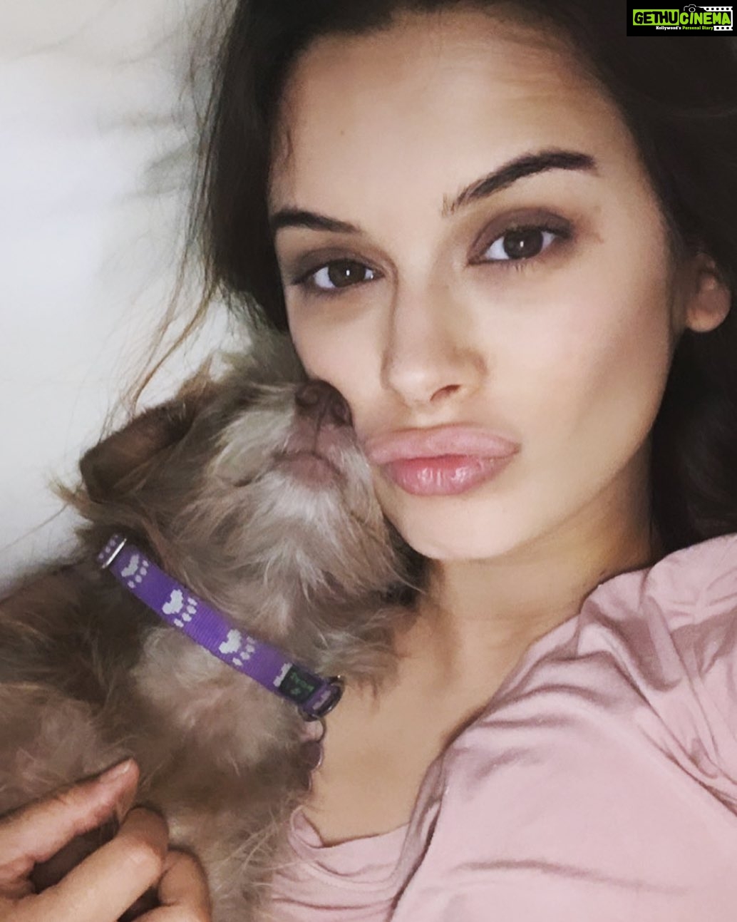 Evelyn Sharma Instagram - Monday mornings are my favourite 💖 #cococuddles