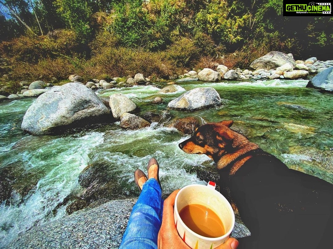 Fatima Sana Shaikh Instagram - Nush 🐶 neher🌊 coffee☕️ @untravel.in aur main Dharamshala