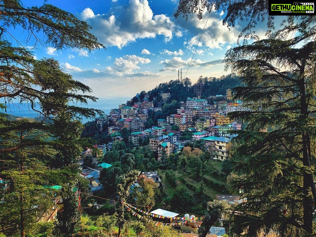 Fatima Sana Shaikh Instagram - सुंदर Dharamshala-Himachal Pradesh