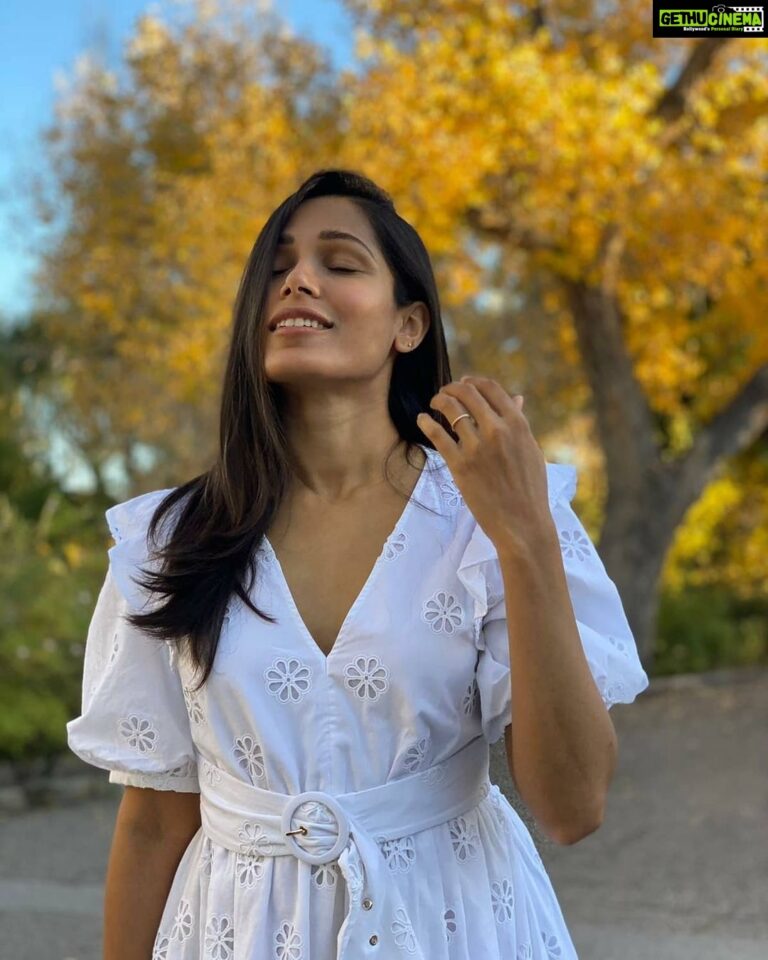 Freida Pinto Instagram - Blessed and Grateful. And 36 feels pretty Awesome! 📷 @coryt 🐒♥️