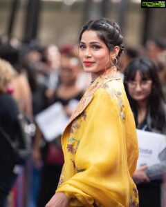 Freida Pinto Instagram - Representation Matters! 
In 2008 when Slumdog Millionaire was released I knew how important that film would be in the way the South Asian narrative would be viewed for the better. I felt so lucky to be part of it. It would mean more opportunities and more acceptance. But that alone was not going to be enough. Because "normalizing" can only achieve scale when we start young. 
Being part of Mira, Royal Detective is one of my proudest achievements to date. I get to play Queen Shanti who appoints a kind, empathetic, intelligent and confident little girl named Mira to be the Royal detective to her kingdom. This show is groundbreaking on many levels- first of it's kind ever in the animation world, an all South Asian voiceover cast and the best part NO APU accents. Thank you very much.

I couldn't help but tear up at the premiere watching the littlest of little kids of all races and ethnicities, to their teenage siblings and their parents completely enthralled while watching Mira Royal Detective.
Thank you Disney Junior for putting your time, resources and sincere efforts in making this adorable little animation series that I predict is gonna be monumental in shaping culture. #MiraRoyalDetective @disneyjunior