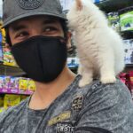 Gautham Karthik Instagram – Got to play with this gorgeous persian kitten yesterday @pet_campus 
Made my day!
😍🥰😍 Chennai, India