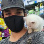 Gautham Karthik Instagram - Got to play with this gorgeous persian kitten yesterday @pet_campus Made my day! 😍🥰😍 Chennai, India