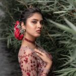 Gayathri Suresh Instagram –