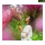 Gayathrie Instagram - Christmas is around the corner.. be a secret Santa to lovelies like Arya here.. @besantmemorialanimaldispensary care for all kinds of animals. The injured, abandoned, hopeless come here and find unconditional love and care. ❤️ Cyclones, floods,powercuts nothing stops this dedicated team. BMAD is printing calenders to raise funds for their shelter. If you wish to contribute, you can order your calender here 👇 https://linktr.ee/bmad . 📸 - @shantanukrishnanphotography . PS - Go to their page to see some wonderful stories. Don't miss the one with Bessy, the cow and the baby buffaloes. 💞✨✨ . . . . . #merrychristmas #secretsanta #santa #bmad #besantmemorialanimaldisoensary #giftoflife #giftofgiving