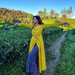 Hamsa Nandini Instagram - What sunshine is to flowers, smiles is to us humans! . #facingitwithasmile #bekind #swanstories