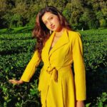 Hamsa Nandini Instagram - What sunshine is to flowers, smiles is to us humans! . #facingitwithasmile #bekind #swanstories