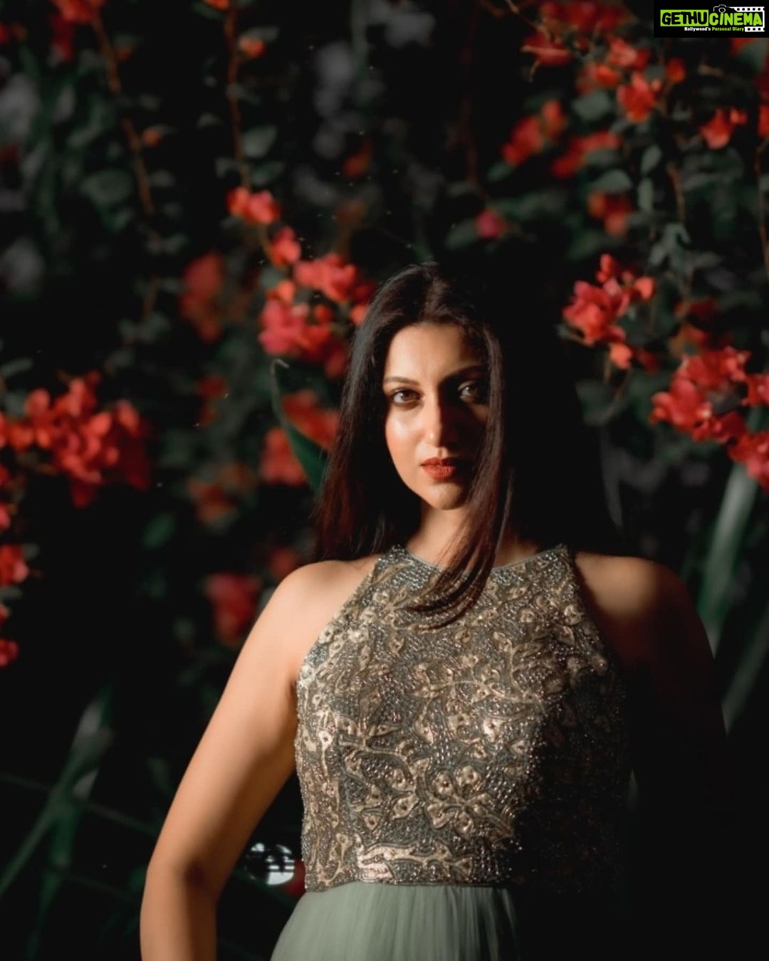 Hamsa Nandini Instagram - If only you knew..... . #swanstories