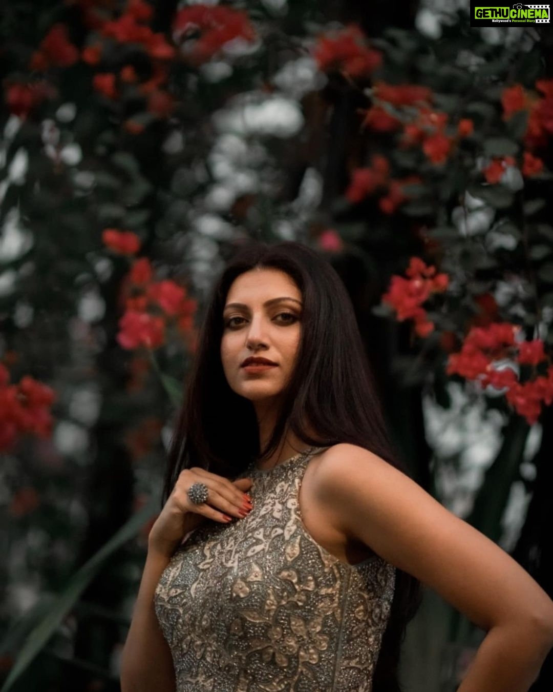 Hamsa Nandini Instagram - If only you knew..... . #swanstories