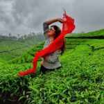 Hamsa Nandini Instagram – Thanks, you guys loved the Munnar vlog (part1)🤗. Stay tuned for part 2. Releasing tomorrow.
Watch the full video (link in bio). 
.
#youtubechannel #munnartrip #swanstories Tea Gardens, Munnar