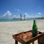 Ileana D’Cruz Instagram – Looking back to this🏝☀️🌊

@ncstravels @kudavillingiliresort Kuda Villingili Maldives