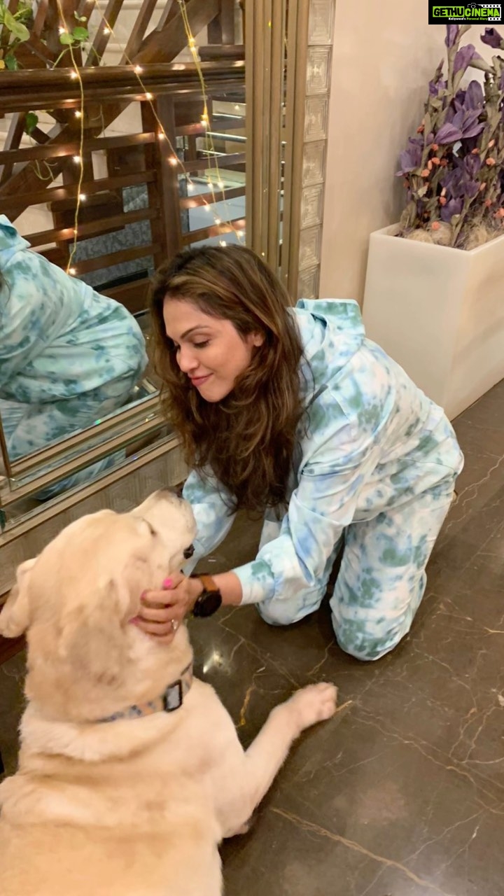 Isha Koppikar Instagram - Puppy love 🐶 #ishakoppikar #animals #loveanimals  #dogs #dogsofinstagram #dogslover #dogoftheday #dogstagram  #dogloversofinstagram Mumbai, Maharashtra - Gethu Cinema