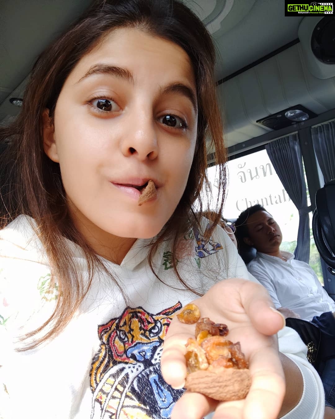 Isha Talwar Instagram - Eating fruits that are dried in the sun,not dry fruits @hideoutfarmindia ππ P. S:Ideal for road trips when people are passed out in the bus and your not! #solotraveller #travelwithstrangers #eatfruits #thailaaaaaaannnnn