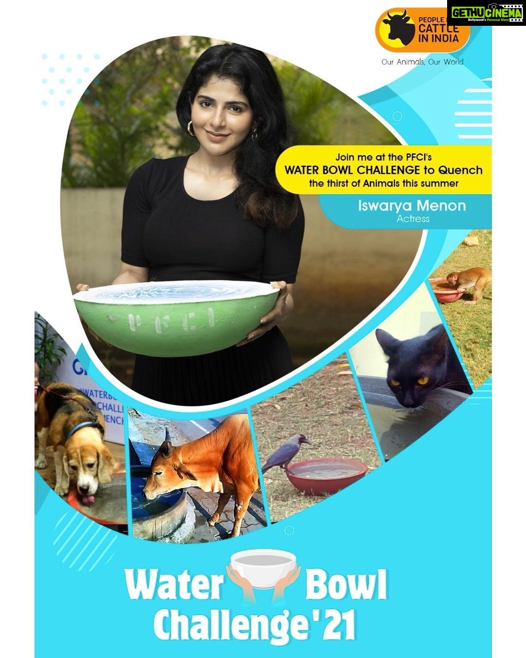 Iswarya Menon Instagram - It’s scorching summer out there, street animals & birds are so thirsty. The least we can do is to keep a bowl of water to quench the thirst for them ♥️ I accept the #WaterBowlChallenge I request all of you to take up this challenge as well 🙏🏼 @PFCII, @RoyalCanin @reginaacassandraa