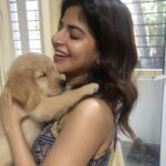 Iswarya Menon Instagram - The world would be a nicer place if we all had the ability to love unconditionally like a 🐶 . Throwing back to When my little baby was a baby 🥰 When we named her “coffee” 🧿 @coffeemenon . #myheartbeat #unconditionallove #coffeemenon