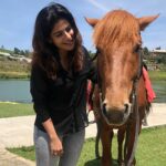 Iswarya Menon Instagram - 🐴😬👋 Isn’t she cute?