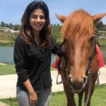 Iswarya Menon Instagram - 🐴😬👋 Isn’t she cute?
