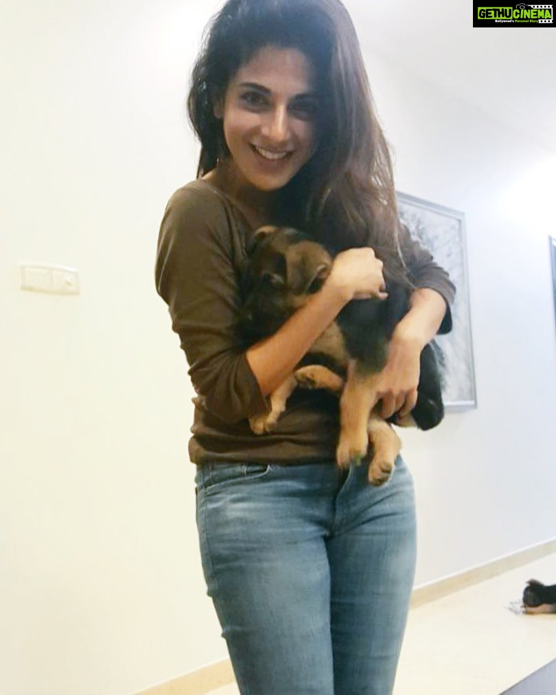 Iswarya Menon Instagram - Happiness is a warm puppy 😍 #happinessispettingadog #dogloverforlife 💫❤️