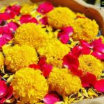 Joy Crizildaa Instagram - Flowers always make people better, happier and more helpful, they are sunshine 🌞 food and medicine for the soul ❤️💫⭐️ #happynewyear2022 ❤️💫