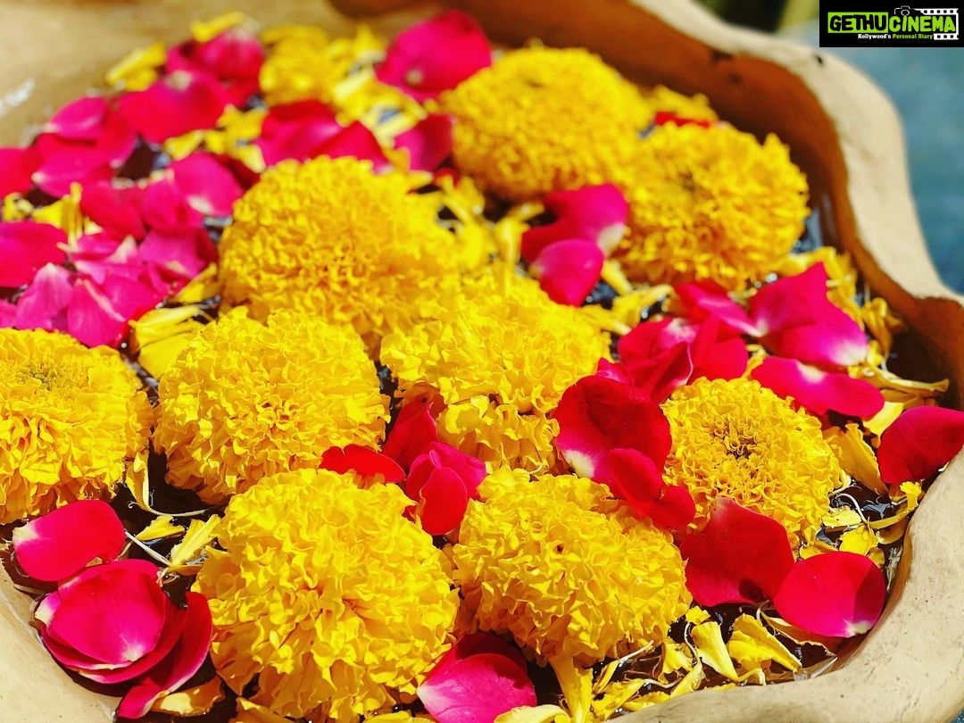 Joy Crizildaa Instagram - Flowers always make people better, happier and more helpful, they are sunshine 🌞 food and medicine for the soul ❤️💫⭐️ #happynewyear2022 ❤️💫