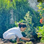 Kangana Ranaut Instagram - Today I planted 20 trees, we only ask what I got, sometimes please ask what I gave back to this planet also !!! In recent cyclone Tauktae Mumbai lost more than 70 percent of its trees and Gujrat lost more than 50 thousands trees, these trees take decades to grow, how can we loose them every year like this, who is compensating for this loss? How are we preventing our cities from becoming concrete jungles? We must ask ourselves did we ask authorities the right questions? What are we giving back to our country ? I am requesting concerned Mumbai @my_bmc and Gujrat @gujarattourism governments to plant Neem, Pipal and bargad trees wherever trees are uprooted... Above mentioned trees have medicinal qualities, not only they clean air nourish the soil they also emit extraordinary amount of oxygen....let’s save our cities, save our trees our planet that’s the only way to save ourselves 🙏