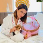 Kangana Ranaut Instagram - Happy birthday to my one and only, though @rangoli_r_chandel is always happy and giggly but I know essentially deep down she is a mom, here’s another addition to her family.... friends meet Gappu Chandel... 💕