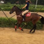 Kangana Ranaut Instagram - One thing I miss the most about Mumbai is horse back riding every other morning in race course, I have never been a sports person but I find meditative partnership with my horse, being one with another being is such as exhilarating experience - KR