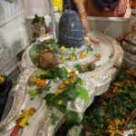 Kangana Ranaut Instagram - Let's engulf ourselves into the divine blessings of Lord Shiva & seek solidarity to move forward with truth, purity & divinity. Let’s spend the night of Shivratri by chanting the name of Lord Shiva and seek his divine blessings! A #HappyMahashivratri to all. #HarHarMahadev #HappyShivratri