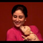 Kareena Kapoor Instagram - With @droolsindia's Focus Dog food, it's always 'Bone Appetite' for my Leo 🥰 Packed with essential nutrients, more meat, less grains, and no corn or soya, Leo's optimal diet is always filled with the wholesome goodness of droolicious chicken 😍 What more can I say? Leo and @droolsindia are total best friends furever 😉 #Drools #DroolsIndia #Focus #FeedRealFeedClean #PetFood #RealChicken #PetsOfInstagram #HealthyPetFood #PetParents #PetLovers #DogFood #FoodForDogs #DogNutrition #RealNutrition #Dog #PetCare #Pets #WhatsGoodForYourDog #HappyDog #DogLife #FurryFriends #FeedDrools #FocusOnMoreMeatLessGrain