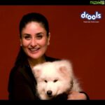 Kareena Kapoor Instagram - Why stress about being a perfect chef for your furry companions when you have @droolsindia @droolsindia understands the importance of REAL nutrition. Be a responsible pet parent and feed your furry companions meals made with real chicken and zero by-products. #FeedRealFeedClean and see the change in your pet's life. . . . #Drools #DroolsIndia #Kareena #KareenaLovesDrools #FeedRealFeedClean #BundleOfJoy #PuppyAtHome #AdoptPet #BringHomeFurryBaby #PetFood #FeedHealthy #FeedDrools #PetParent #PetBond #PetNutrition  #HealthyPetFood #PetCare #PetFood #WhatsGoodForYourPet #FurryFriends #PetFriendly