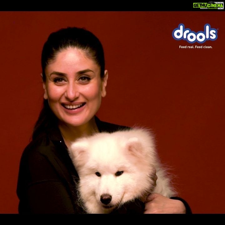 Kareena Kapoor Instagram - Why stress about being a perfect chef for your furry companions when you have @droolsindia @droolsindia understands the importance of REAL nutrition. Be a responsible pet parent and feed your furry companions meals made with real chicken and zero by-products. #FeedRealFeedClean and see the change in your pet's life. . . . #Drools #DroolsIndia #Kareena #KareenaLovesDrools #FeedRealFeedClean #BundleOfJoy #PuppyAtHome #AdoptPet #BringHomeFurryBaby #PetFood #FeedHealthy #FeedDrools #PetParent #PetBond #PetNutrition #HealthyPetFood #PetCare #PetFood #WhatsGoodForYourPet #FurryFriends #PetFriendly