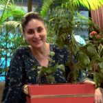 Kareena Kapoor Instagram - I have been reconnecting with nature thanks to @mybageecha. For this festive season, I have picked out some of my favourite gifting options from their beautiful and unique range of plants... 😍 log on to www.mybageecha.com to bring nature into your home #igloverunsdeep #FromMyBageechaToYours #supportsmall @instagramforbusiness