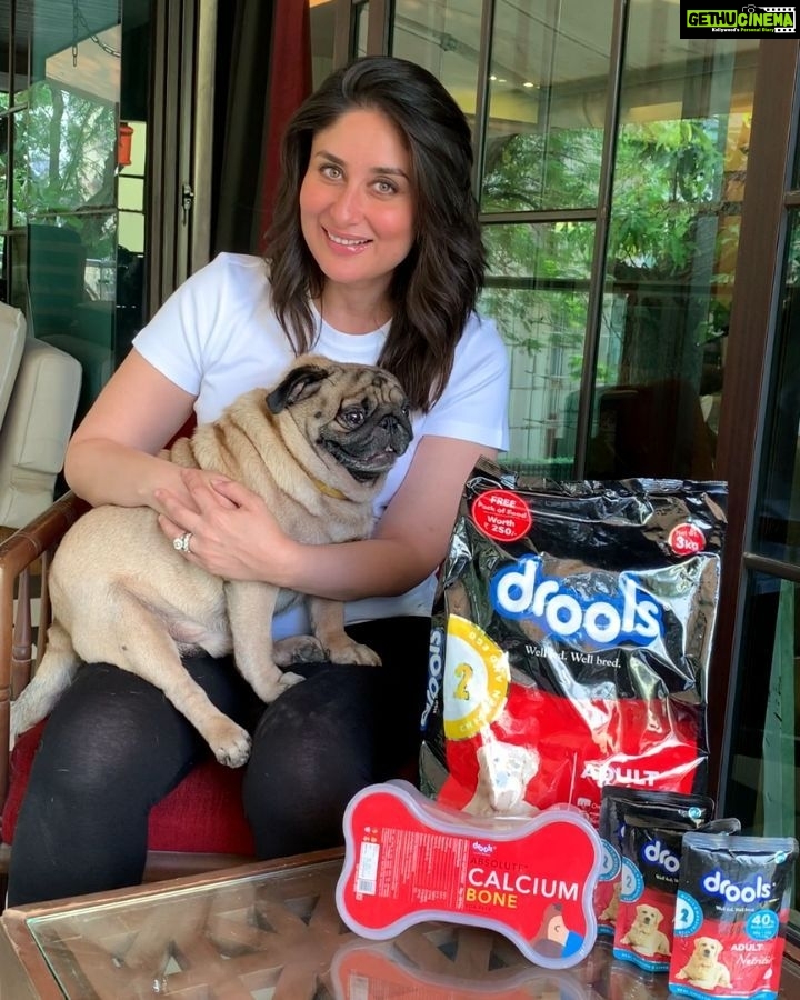 Kareena Kapoor Instagram - EmBARKing on a new journey. π€ Leo and I are super excited to be a part of the @droolsindia family πͺπ» #Drools #FeedRealFeedClean #leo #DogFood #FoodForDogs #DogNutrition #RealChicken #healthydogfood #Dog #PetCare #Pets #WhatsGoodForYourDog #HappyDog #DogLife #FurryFriends #Ad