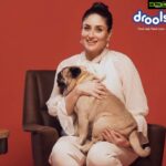 Kareena Kapoor Instagram - @droolsindia There is nothing more important to me than Leo’s health and for that, I have made a promise to make sure that nothing comes in the way of giving him the best of everything. Which is why I choose @droolsindia with real chicken and no by-products. #Collaboration . . . . . . #Drools #FeedRealFeedClean #leo #DogFood #FoodForDogs #DogNutrition #cute #beautiful #instagood #RealChicken #healthydogfood #DogofInstagram #Dog #PetCare #Pets #PetsOfInstagram #WhatsGoodForYourDog #HappyDog #DogLife #FurryFriends #Kareenalovesdrools