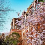 Karishma Kotak Instagram - Spring has sprung 🌸 London, United Kingdom