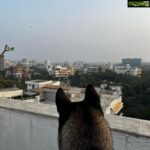 Karishma Kotak Instagram - Thank you india ❤️ Juhu, Mumbai