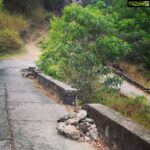 Kashish Singh Instagram - In the waves of change we find our direction......🙌🏽 #roadtrip #lifegoals #yolo #bellavitakashish Forest Camp Site