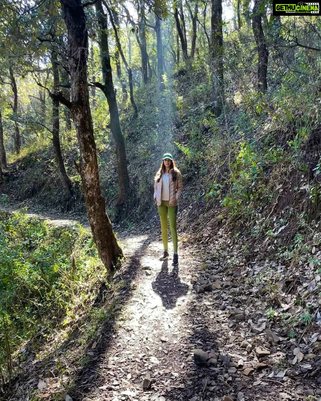 Kiara Advani Instagram - Pave your own path 🌻