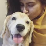 Kratika Sengar Instagram - My dil ka tukda.. Who is extremely moody, carefree, likes his own space(gone absolutely on me😛)and doesn't give a f*** about anything but food... Happy birthday to u Donut. May God give u a long and a healthy life... I love u ❤️ And thanku everyone for the wishes🤗 #beaglesofinstagram #happybirthday #happy7 @kratikadonut