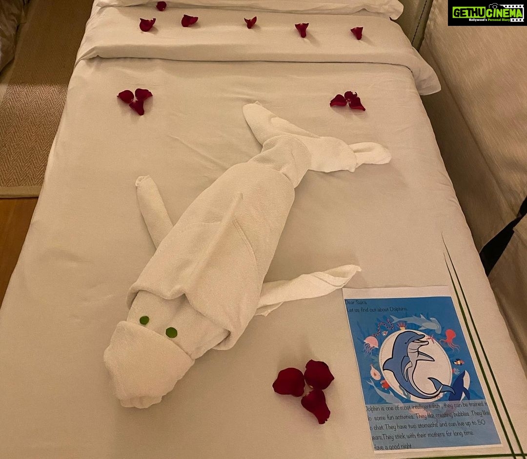 Lara Dutta Instagram - Thank you @tajhotels for always being our choice of a home away from home!! Big thank you to the @tajmaldives for your outstanding hospitality, warmth and kindness, especially to Saira!! We take away wonderful memories and can’t wait to be back!! A special thank you to GM #SamratDatta , #dilip and #saujan .