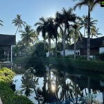 Lisa Ray Instagram – A sampling of reading perches @kumarakomlakeresort 
(Also part of my on going investigation whether this place is as magical at all hours as at dusk)