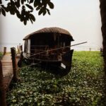 Lisa Ray Instagram – In your dreams.
#Kerala