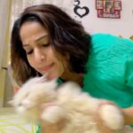 Madhavi Latha Instagram - #catlover #cutiepie #mycat #instagood #reels