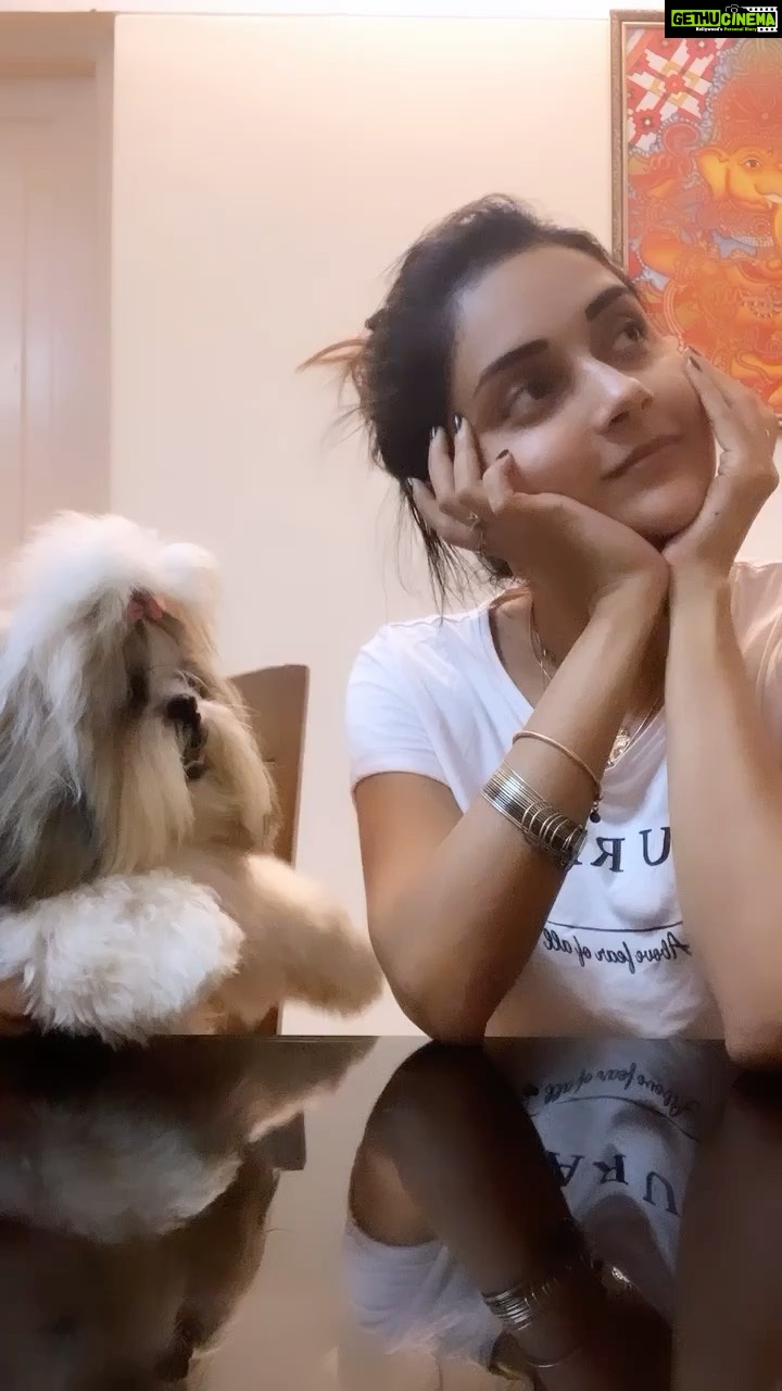 Mahima Nambiar Instagram - A little late to this trend 🤣🤣 @luca_the_kuttichathan #luca #lucatheshihtzu #instareels #instagram #instagood #mykoottukaran #orumathiriundakkannikkalle #ourversion